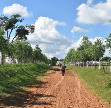 6 Hours Almat Farms Tour